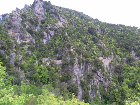 Corsican mountain in Mayの写真素材