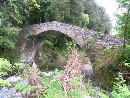 Old bridge in corsican forestの写真素材