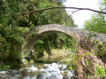 Old Corsican bridge in the forestの写真素材