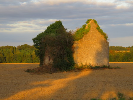 Abandoned houseの写真素材