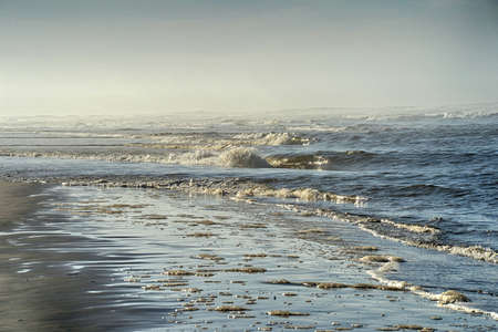low surf on a foggy Pacific Northwest beach