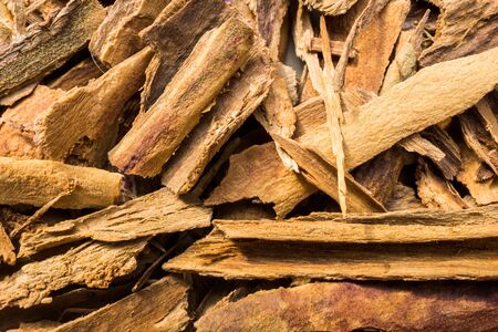 close up of cinnamon sticks tree cortex macro