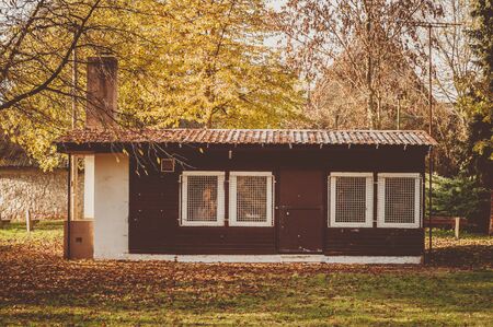 shack in autumn