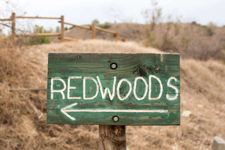 A Green Redwoods Sign with Arrowの写真素材