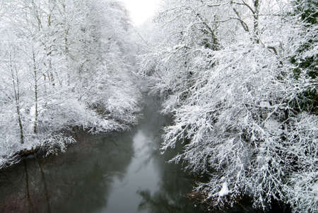 Snowy riverside forest on the banks of the Bayas river in the Gorbeia Natural Park, Murgia, Alava, Spainの写真素材