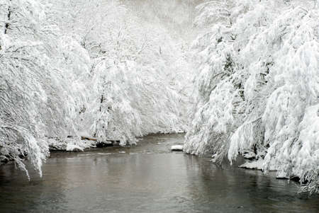 Snowy landscape of the Bayas river. Gorbeia Natural Park, Alava, Basque Country, Spainの写真素材