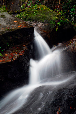 Stream in the Gorbeia Natural Park. Basque Country. Spain