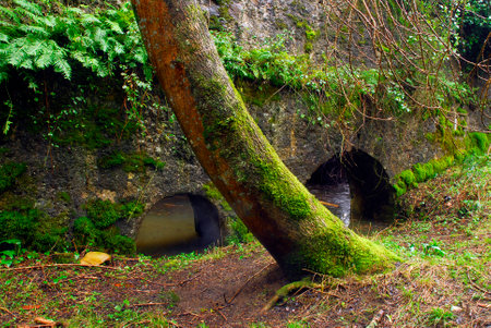 Bengolea old ironworks on the Lea River. Biscay. Basque Country. spainの写真素材