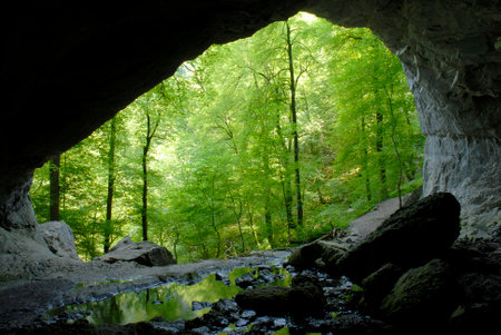 Source of the La Bidouze river in the French Basque Pyrenees. Frenchの写真素材