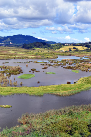 Landscape of the Urdaibai marshes photographed from the Urdaibai Bird Center. Bizkaia. Basque Country. Spain.の写真素材