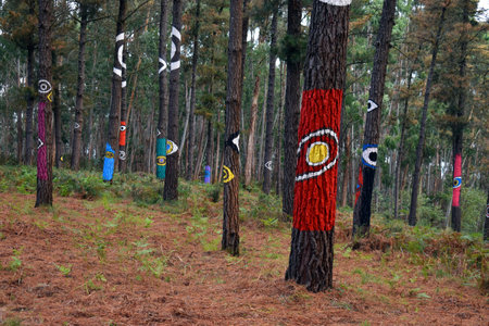 The Painted Forest of Oma in Urdaibai. Bizkaia. Basque Country. Spain
