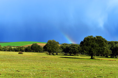 Landscape with an oak forest and rainbow in the Valderejo Natural Park. Basque Country. Spainの写真素材