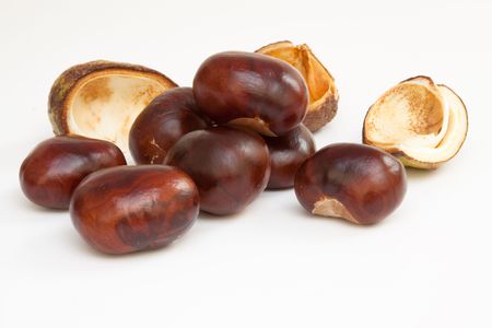 Conkers isolated on white backgroundの写真素材