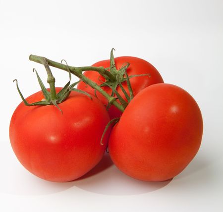 Tomatoes on vineの写真素材