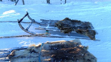 Sleds parked on the snow in the north of Sweden
