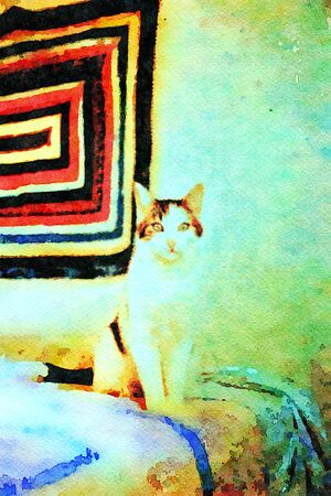 Watercolor representing a young piebald cat on the bed at homeの写真素材