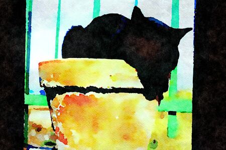 Watercolor representing the silhouettes of my black cat sleeping on a plant potの写真素材