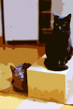 Digital color painting style representing a gray cat and a black cat