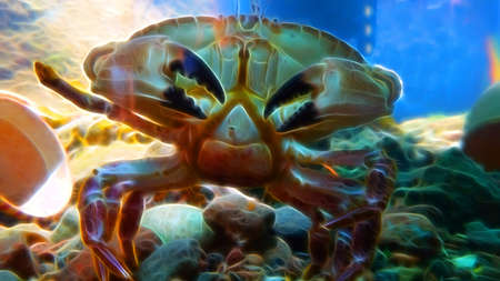 digital color painting style representing a large crab rising to the bottom of the seaの写真素材