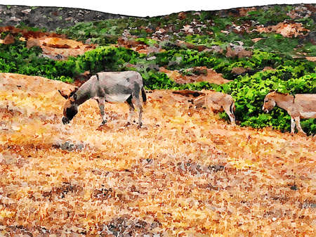 Digital watercolor painting of a group of donkeys grazing peacefully on the hills.の写真素材