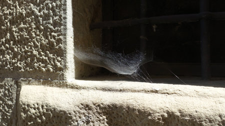 A cobweb in the corner of a window waits for prey to fall into the trapの写真素材