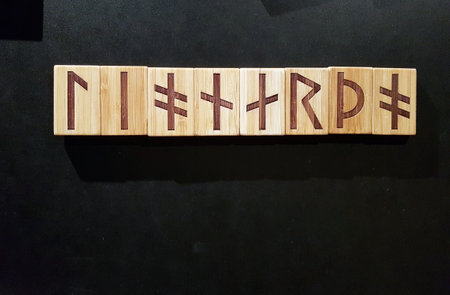 Leonardo written in runic characters engraved on wooden tablets.の写真素材