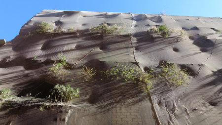 Typical mesh protection of an old building with plants growing along the facade.の写真素材