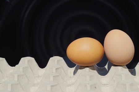 Eggs on the carton isolated on a black backgroundの写真素材