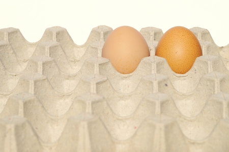 Eggs on the carton isolated on a white backgroundの写真素材