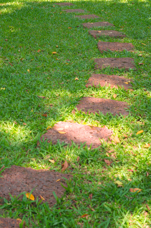 Walking way in the parkの写真素材