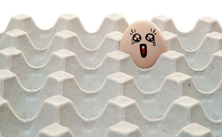 Drawed eggの写真素材