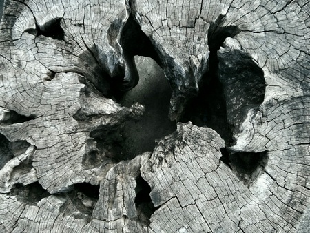 Wooden textureの素材