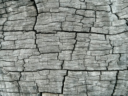 Wooden textureの素材