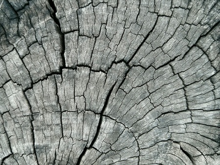 Wooden textureの素材