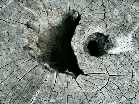 Wooden textureの素材