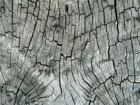 Wooden textureの素材