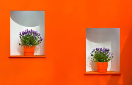 two orange pots with violet flowers on orange bacgroundの写真素材