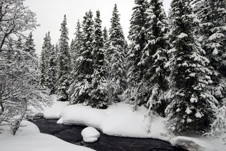 Picture from telemark, norway, winter landscape in raulandの写真素材