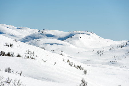 Picture from telemark, norway, winter landscape in raulandの写真素材