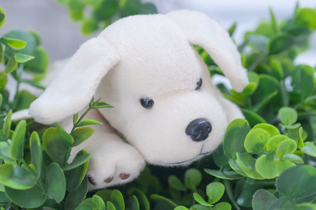 Cute plush toy dog and fake flowerの写真素材