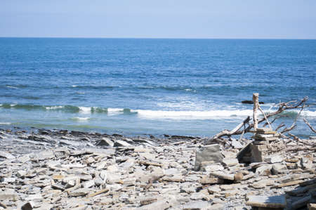 rocks in the beach