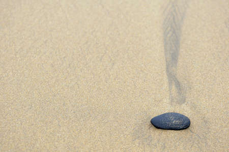 Stone in the sand on the beachの写真素材
