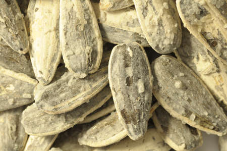 Closeup of some salty sunflower seedsの写真素材