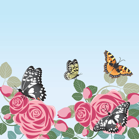 Butterflies Flower Floral Summer Spring Frame Backgroundのイラスト素材