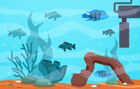 Beautiful Aquarium Fish Colorful Reef Water Plant Illustrationのイラスト素材
