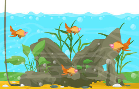 Beautiful Aquarium Fish Colorful Reef Water Plant Illustrationのイラスト素材