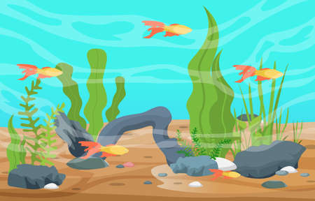 Beautiful Aquarium Fish Colorful Reef Water Plant Illustrationのイラスト素材