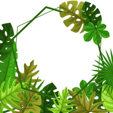 Polygon Green Tropical Plant Summer Leaf Border Frame Backgroundのイラスト素材