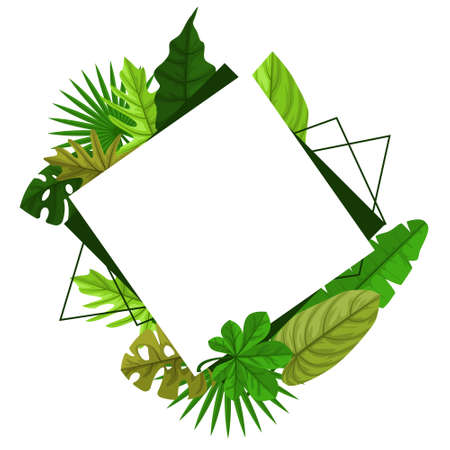 Rectangular Green Tropical Plant Summer Leaf Border Frame Backgroundのイラスト素材