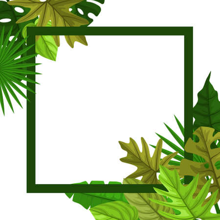 Square Green Tropical Plant Summer Leaf Border Frame Backgroundのイラスト素材